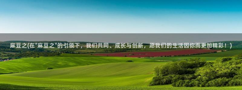 麻豆播放：麻豆之(在\