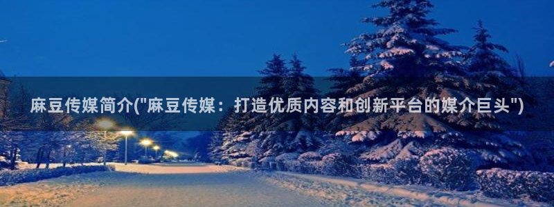 麻豆专区免费：麻豆传媒简介(\