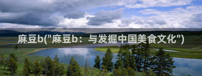 麻豆 专区：麻豆b(\