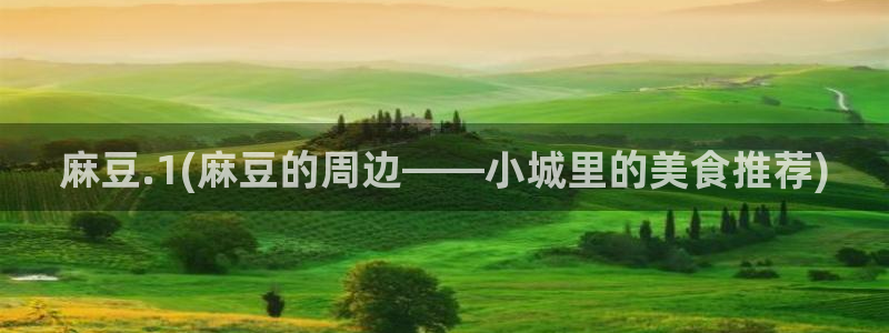 麻豆区：麻豆.1(麻豆的周边——小城里的美食推荐)