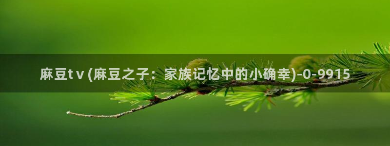 91麻豆国产专区：麻豆tⅴ(麻豆之子：家族记忆中的小确幸)