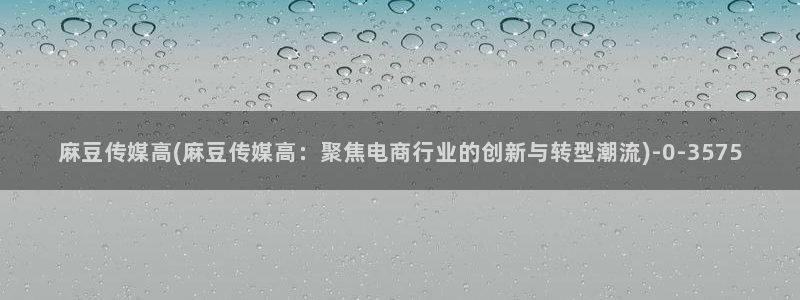 欧美专区麻豆：麻豆传媒高(麻豆传媒高：聚焦电商行业的创新与转型潮流)