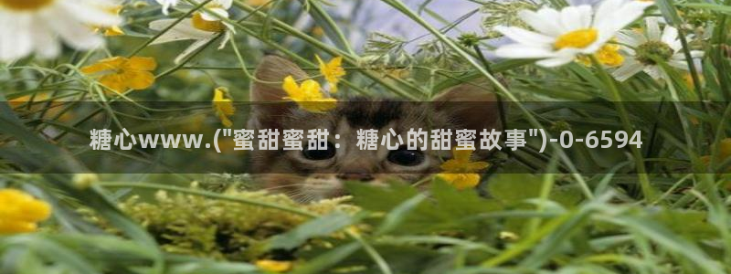 糖心vlog破解在线