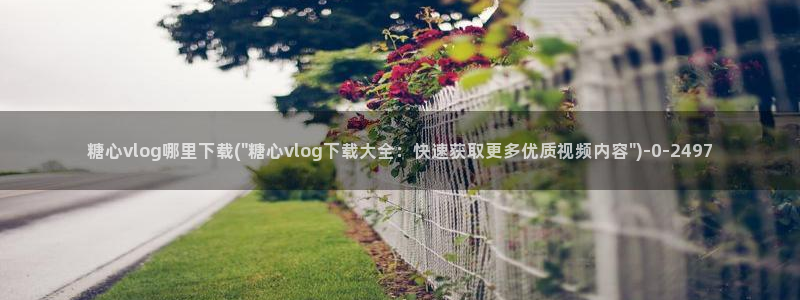 唐伯虎糖心vlog入口：糖心vlog哪里下载(\