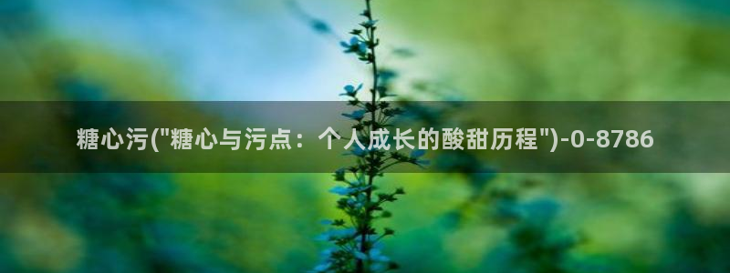 糖心vlog精品：糖心污(\