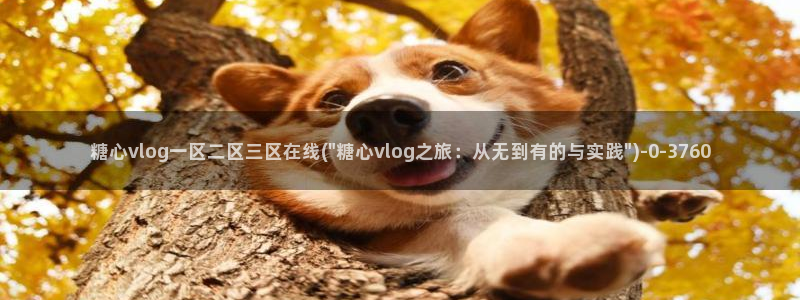 糖心vlog演员表：糖心vlog一区二区三区在线(\