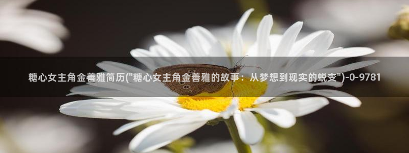 糖心vlog免费版：糖心女主角金善雅简历(\