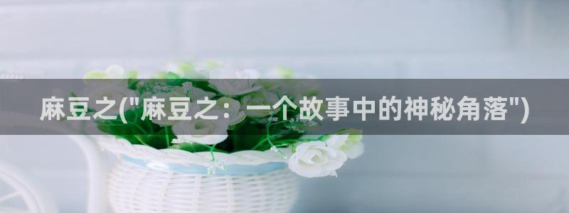 91麻豆国产专区在线观看：麻豆之(\