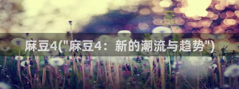 麻豆 专区：麻豆4(\