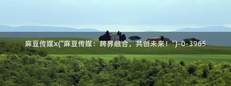 麻豆麻豆：麻豆传媒x(\