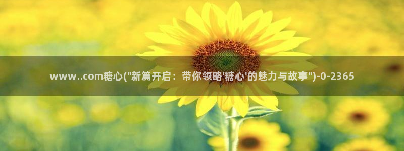 心糖vlog 破解版