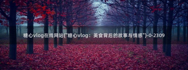 心糖vlog官网入口