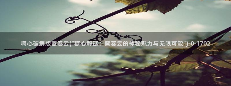 糖心vlog是啥