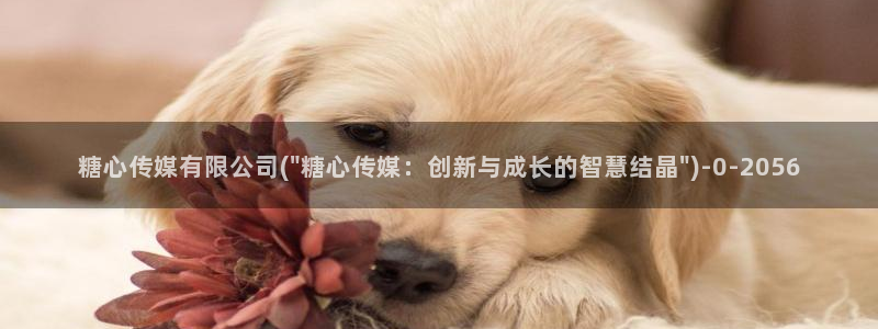 糖心vlog破