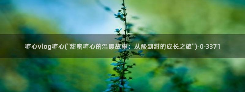 糖心vlog精品一区