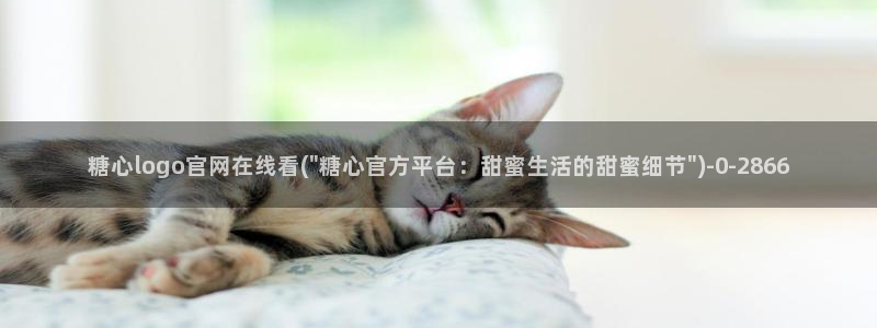 糖心vlog9