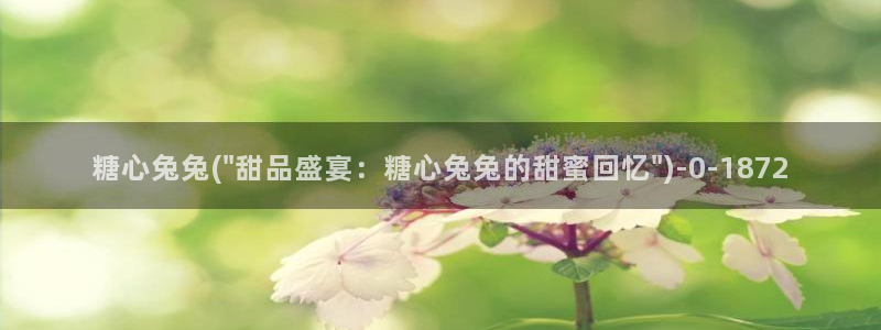 糖心vlog破译